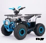 Квадроцикл  YACOTA SIRIUS 110			 			