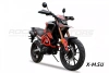 Мотоцикл ROCKOT HOUND 250 LUX (оранжевый, ЭПТС)