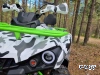 Квадроцикл PROMAX FOREST HUNTER 300