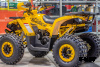 Квадроцикл TAO MOTORS ATV SHARK (125cc) - L