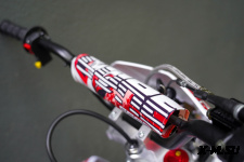 Питбайк SSSR CORE E A Red Cat Mask