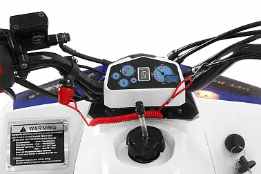 Квадроцикл Yacota Raposa 110