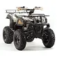 Квадроцикл PROMAX ATV 250